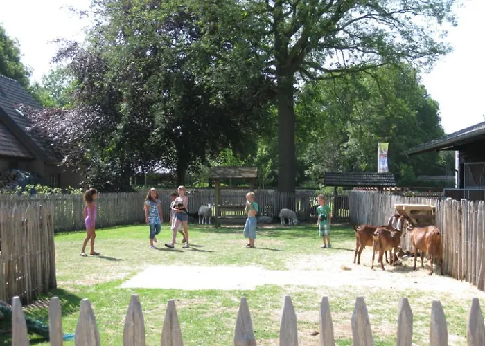 Wilbrink 6-8 Pers. Chalet *