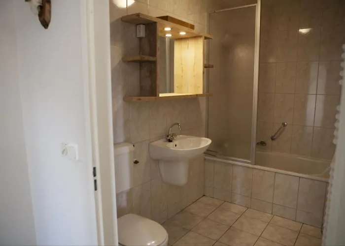 Wilbrink 6-8 Pers. Chalet Voorthuizen