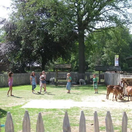 Wilbrink 6-8 Pers. Alpehytte *